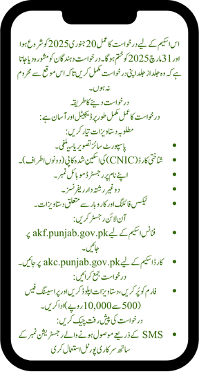 Latest Update On CM Punjab Asaan Karobar Scheme