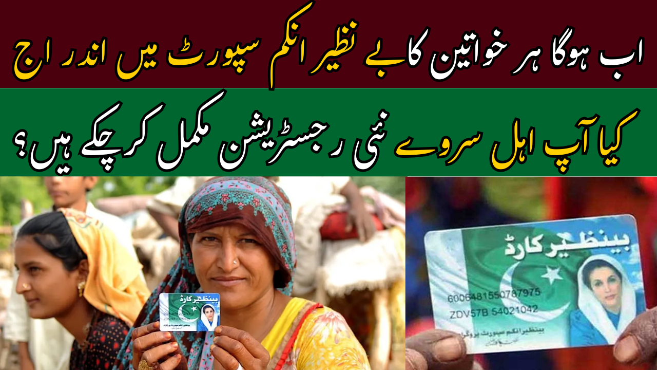 PSER Survey and BISP Payments in Punjab Started